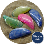 8250 - Polished Tahong Mussel Pair (Coloured)  7.5 -10cm